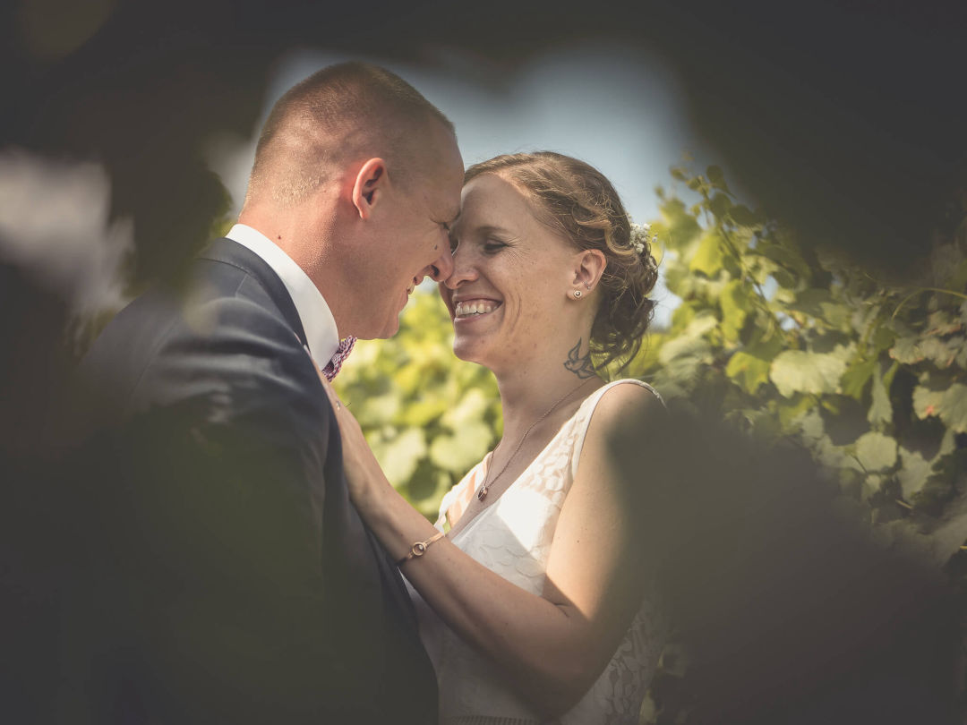 Burg-Steinsberg-Weinberge-Sinsheim-Hochzeit